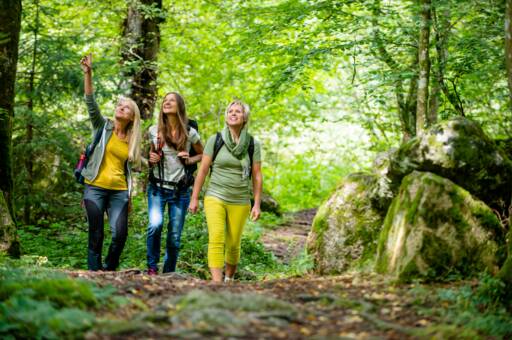 Drei Frauen gehen durch den Wald spazieren und erkunden die Umgebung